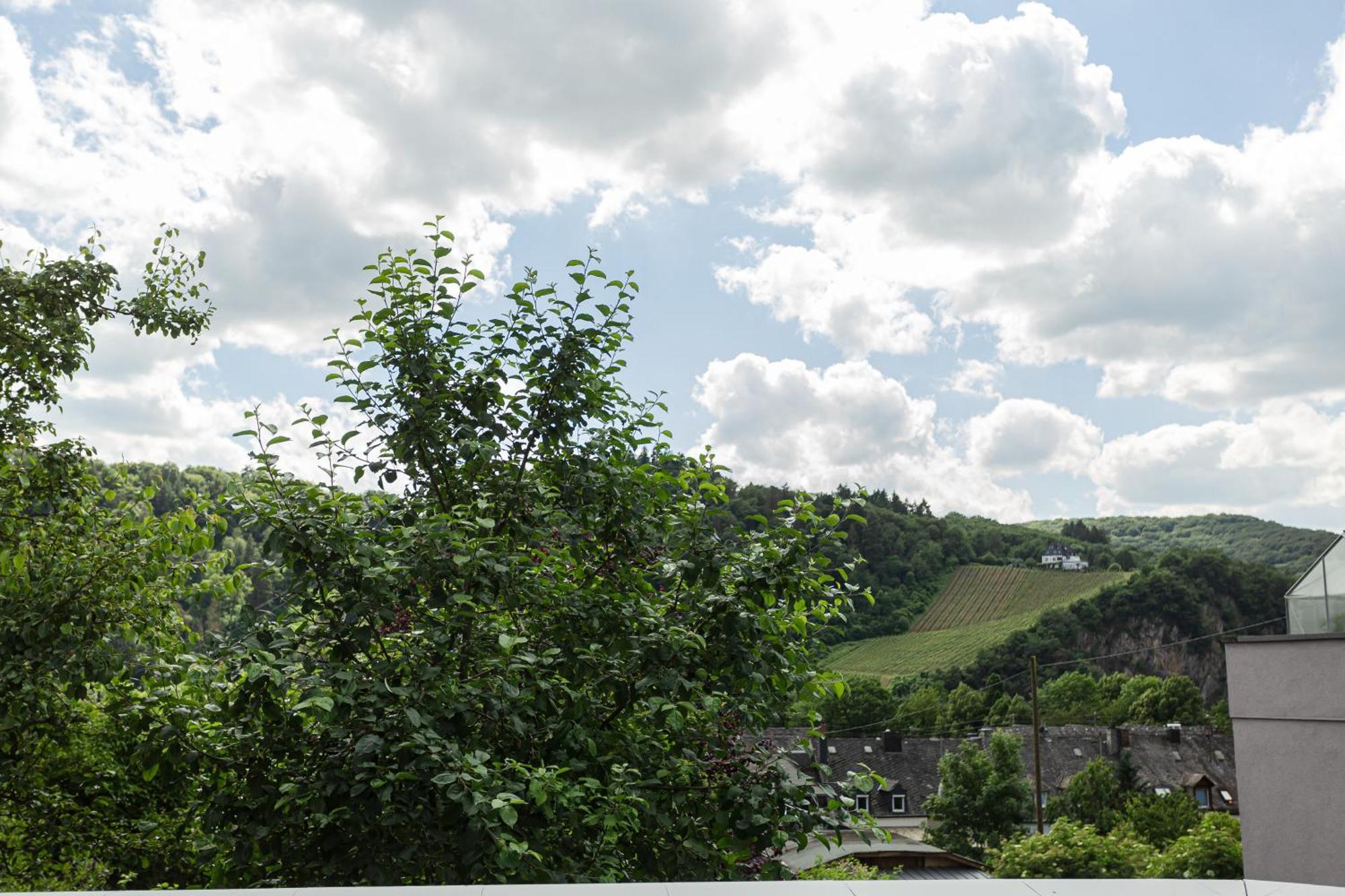 Luxusferienwohnung Moselruhe Bullay Mit Grosser Terrasse Und Schoenem Ausblick Zewnętrze zdjęcie